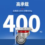 JQR062/A1 Swivel Dual-Wheel AGV Caster