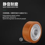 250x100mm-LP