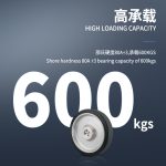 250x60mm-B1